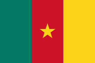 Bandera de Camerún