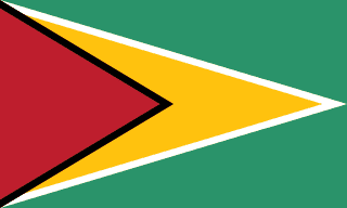 Bandera de Guyana